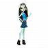 Кукла Monster High - Первый день в школе - Фрэнки Штейн  - миниатюра №1