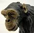 Фигурка - Шимпанзе с детенышем  - миниатюра №4