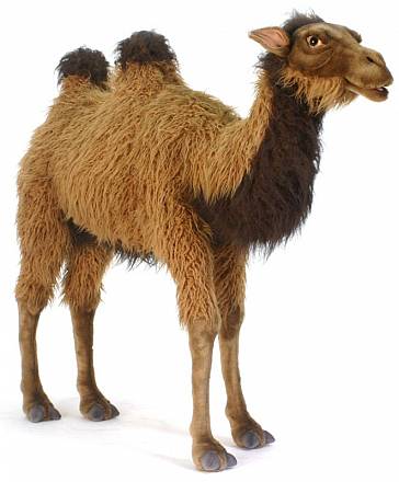 Мягкая игрушка - Верблюд, анимированный, 110 см. 