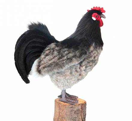 Мягкая игрушка - Эльзасская курица, 34 см 