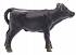 Игровая фигурка – Черный теленок породы Абердин-Ангус  - миниатюра №2