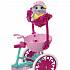 Mattel Enchantimals - Кукла со зверюшкой и транспортным средством  - миниатюра №3