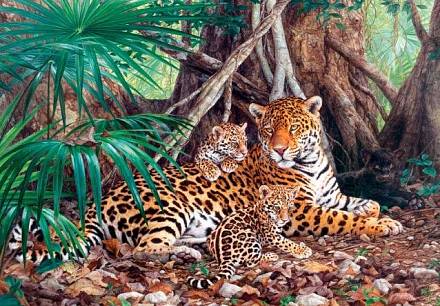 Пазл Castorland 3000 деталей Ягуары в джунглях 