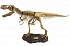 Набор Dr.Steve - Палеоэкспедиция в поисках скелета Тираннозавра  - миниатюра №1