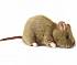 Мягкая игрушка – Крыса, 25 см  - миниатюра №1