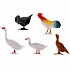 Набор из 5-и фигурок домашних птиц, несколько видов   - миниатюра №1