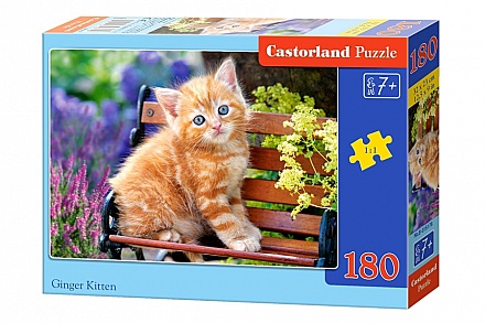 Пазлы Castorland - Рыжий котенок, 180 элементов 