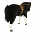 Мягкая игрушка - Лошадь карликовая черная в натуральную величину, 70 см  - миниатюра №4