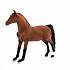 Лошадь породы Морган рыжая  - миниатюра №1