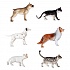 Игровой набор собак и кошек - В мире животных  - миниатюра №1