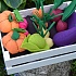 Набор овощей в ящике, 12 предметов с карточками  - миниатюра №3
