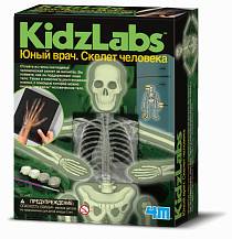 Игровой набор - Юный врач - Скелет человека (4M, 00-03375) Игровой набор - Юный врач - Скелет человека (4M, 00-03375)