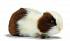 Мягкая игрушка – Морская свинка бело-коричневая, 20 см  - миниатюра №1