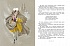 Книга - Щелкунчик и мышиный король. Э. Гофман, рисунки Н. Гольц  - миниатюра №3