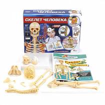 Набор для опытов Скелет человека- серия Маленький ученый (Играем вместе, TXL-117-Rsim) Набор для опытов Скелет человека- серия Маленький ученый (Играем вместе, TXL-117-Rsim)