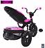 Icon 5 RT 3-х колесный велосипед-коляска VIP V5 by Natali Prigaro, pink  - миниатюра №20