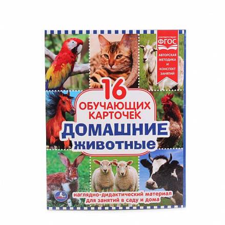 Обучающие карточки в папке - Домашние животные, 16 шт. 