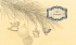 Книга – Щелкунчик Э. Гофман, иллюстрации Р. Ингпена  - миниатюра №4