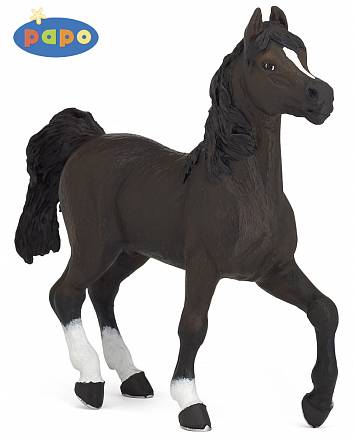 Арабский конь 