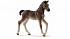 Игровой набор - Пикап ветеринарной службы с лошадью  - миниатюра №6