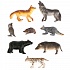 Набор из 8-и животных средней полосы, несколько видов  - миниатюра №1