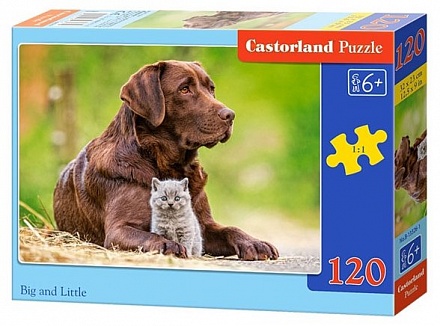 Пазлы Castorland - Собака и котенок, 120 midi элементов 