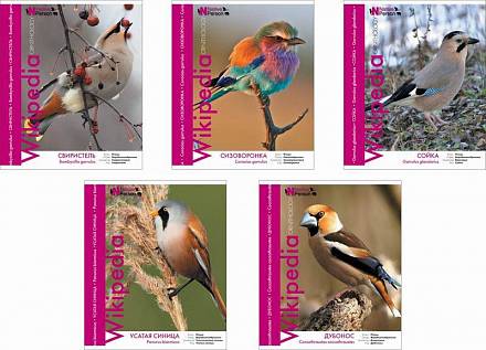 Ученическая тетрадь Wikipedia - Птицы, 48 листов 