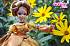 Кукла Sonya Rose Роскошное золото «Золотая коллекция»  - миниатюра №4