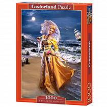 Пазл Castorland 1000 деталей, Прогулка при луне (Castorland, C-103324) Пазл Castorland 1000 деталей, Прогулка при луне (Castorland, C-103324)