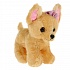Мягкая игрушка – Собака в сумочке из пайеток, золото, 15 см   - миниатюра №2
