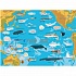 Атлас океанов с многоразовыми наклейками  - миниатюра №1
