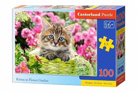 Пазлы Castorland - Котенок в саду, 100 элементов 