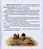 Книга Ж. Юрье - Пируэтта и хитрый лис, мягкая обложка из серии Жили-были кролики  - миниатюра №3
