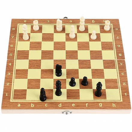 Шахматы деревянные с пластиковыми фигурами 2 в 1 – Шахматы и шашки 