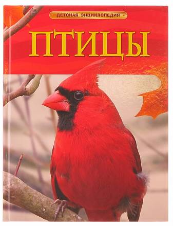 Детская энциклопедия Птицы 