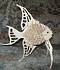 Модель деревянная сборная - Ангельская рыбка  - миниатюра №3