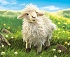 Мягкая игрушка - Белая овца, 41 см  - миниатюра №1
