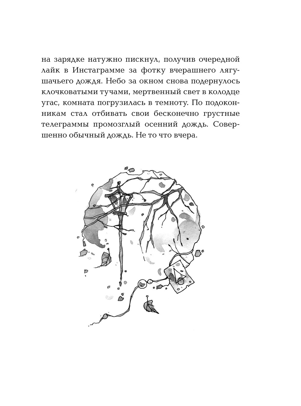 Книга - Витчхантеры. 1. Идентификация Вики  
