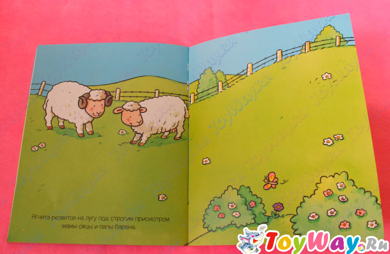 Книга с наклейками «На ферме» из серии Раннее развитие малыша  