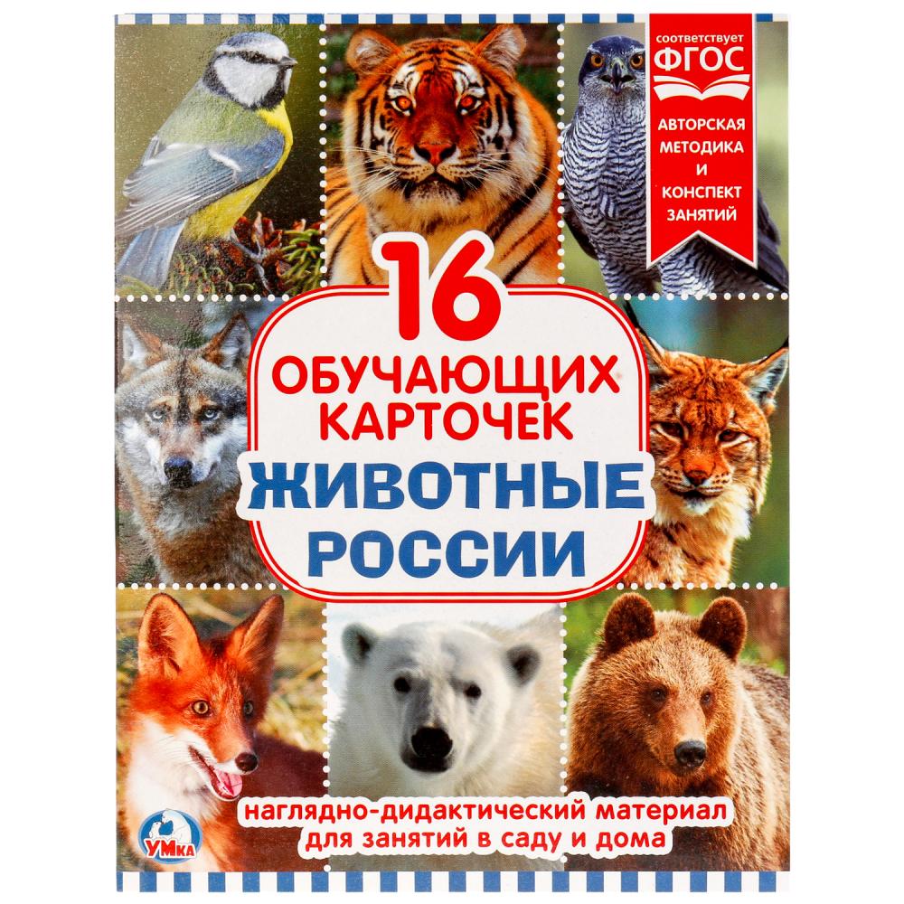 

Карточки в папке – Животные России, 16 карточек