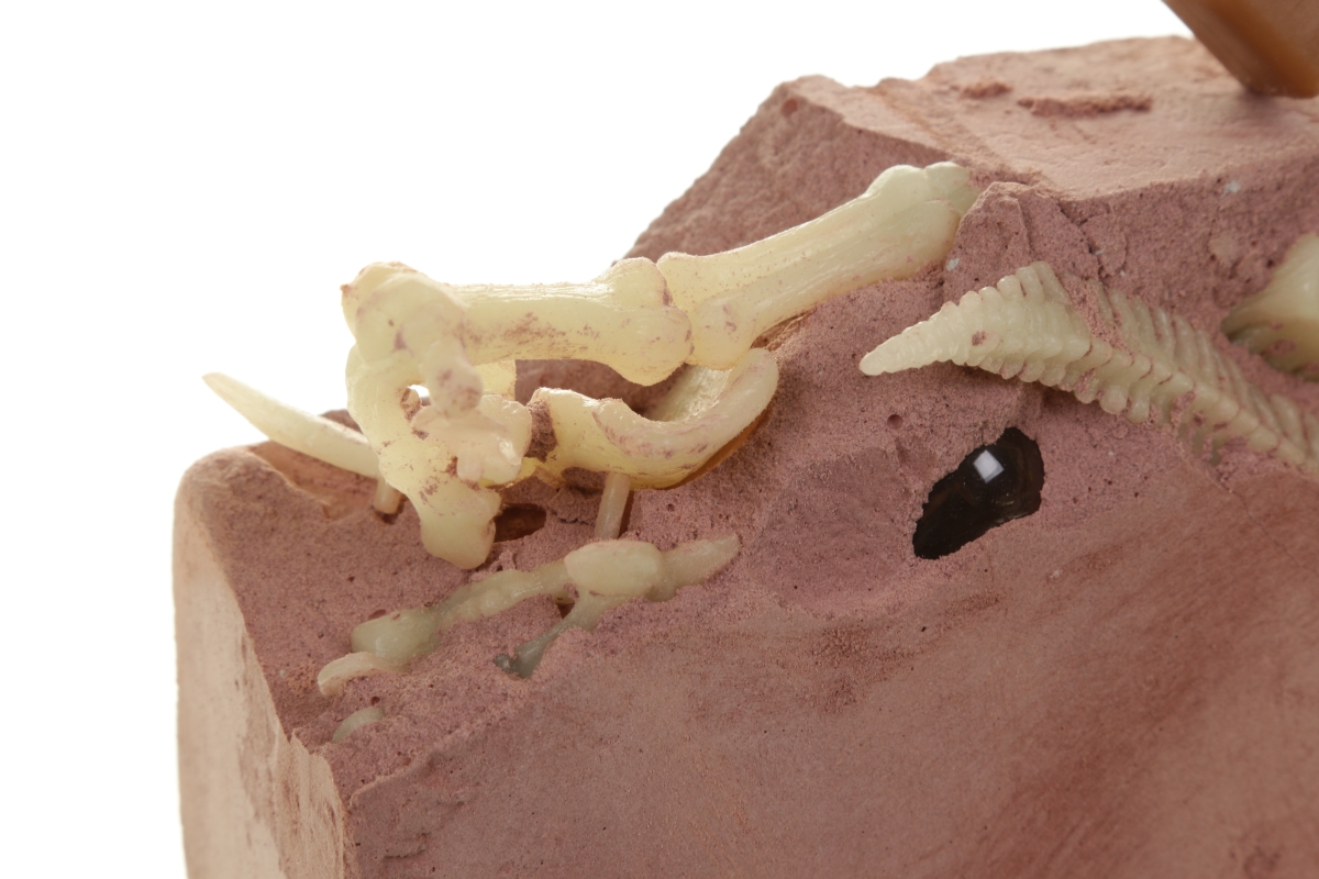 Оживи динозавра - ДНК Трицератопса  