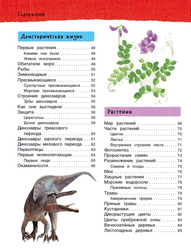 Большая иллюстрированная энциклопедия  