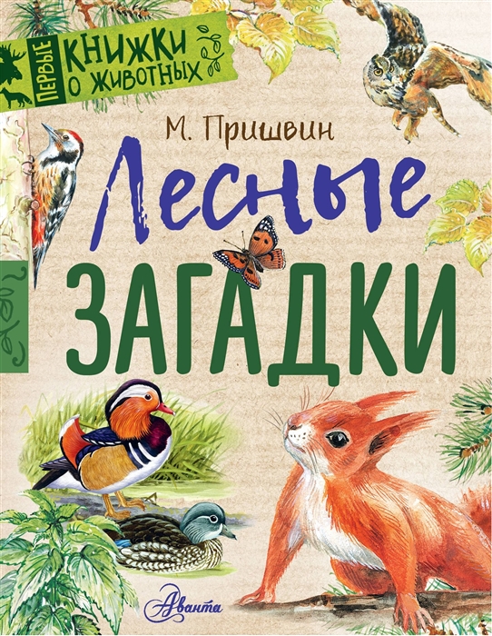 

Книга - Лесные загадки