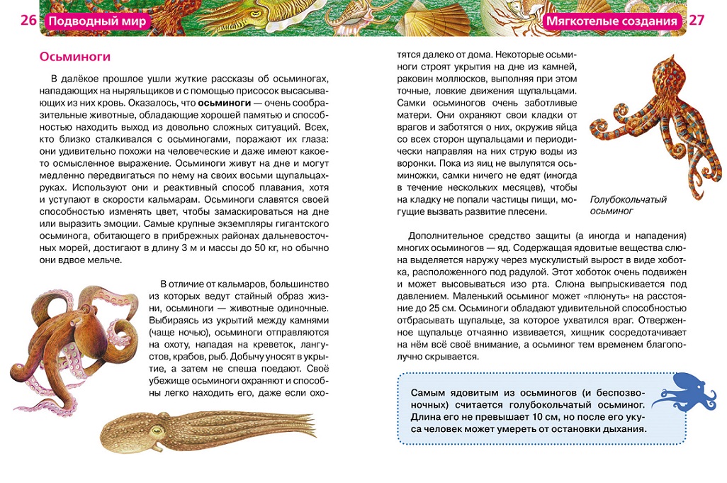 Энциклопедия – Подводный мир  