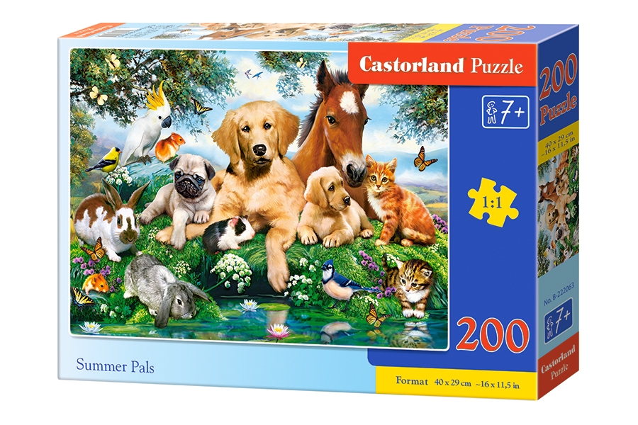

Пазлы Castorland – Приятели, 200 элементов
