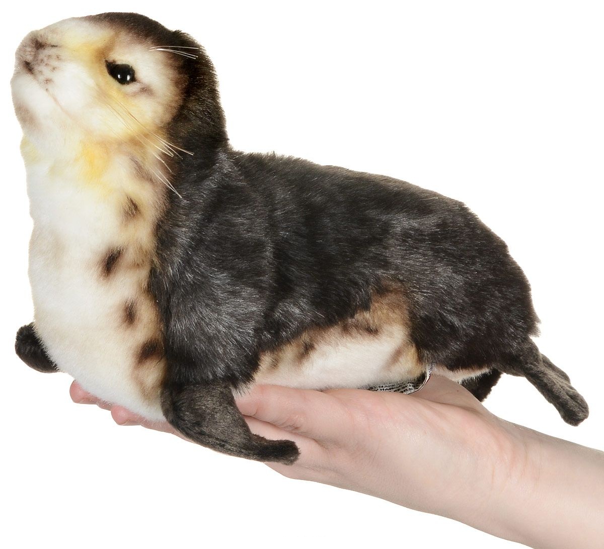 Мягкая игрушка – Детеныш тюленя-монаха, 30 см  