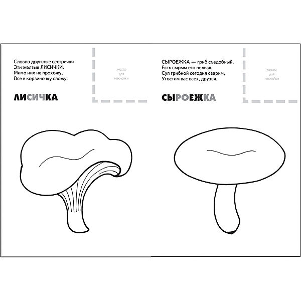 Раскраска с наклейками. Грибы  