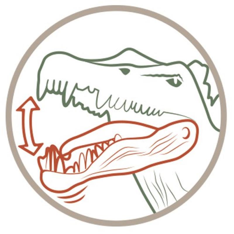 Schleich Фигурка динозавра – Гигантозавр, 14543 