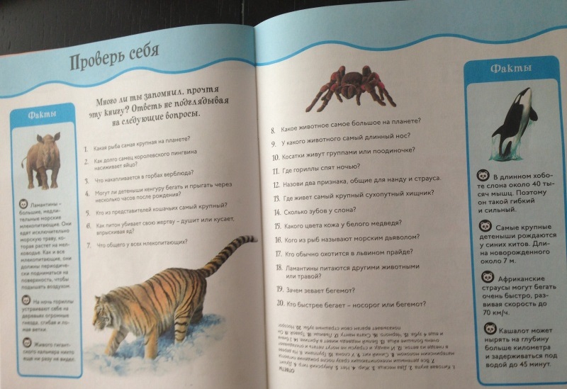 Книга с забавными наклейками «Животные-великаны» из серии Animal Planet  
