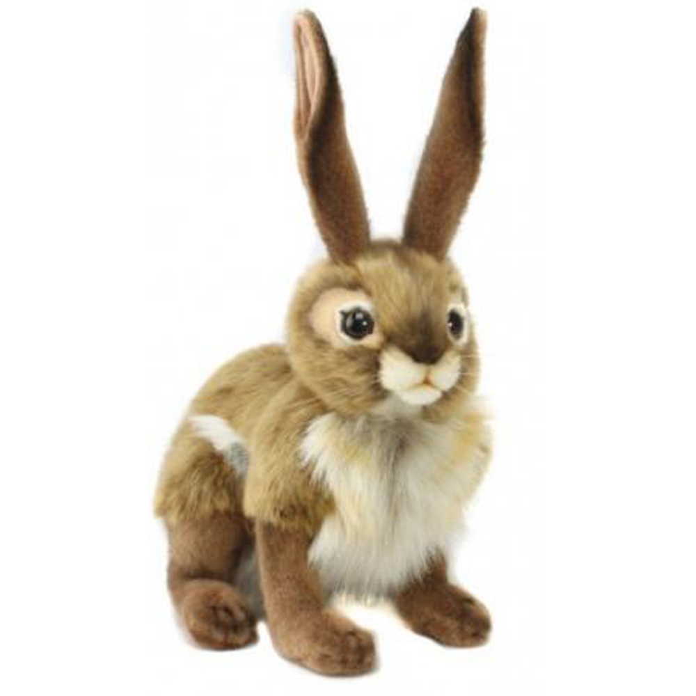 Мягкая игрушка – Чернохвостый заяц, 30 см  